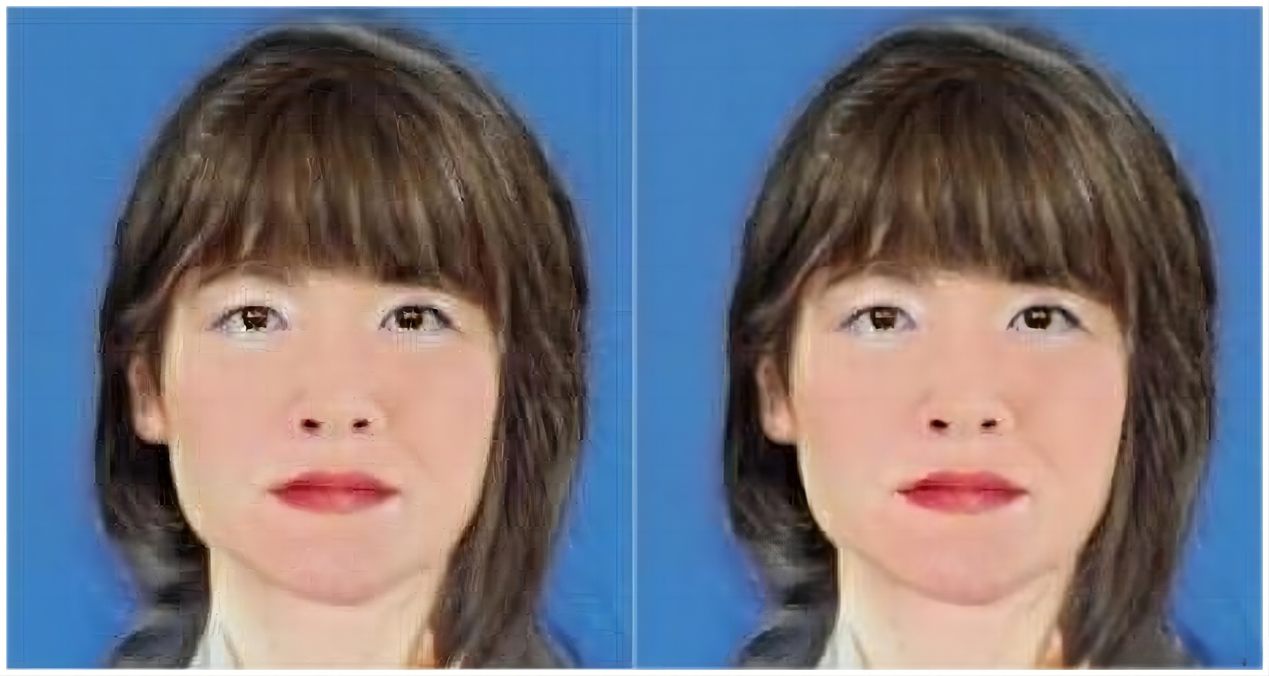 SRGAN：使用生成对抗网络对图像进行超分辨率重构_人工智能_02