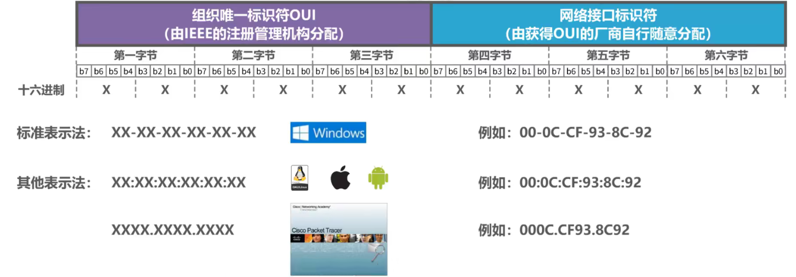 image-20211018184211949