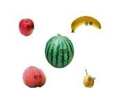 图3的识别结果图