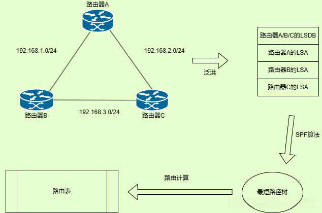 OSPF工作过程