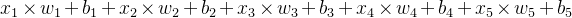 x_{1} imes w_{1} + b_{1}+x_{2} imes w_{2} + b_{2}+x_{3} imes w_{3} + b_{3}+x_{4} imes w_{4} + b_{4}+x_{5} imes w_{5} + b_{5}