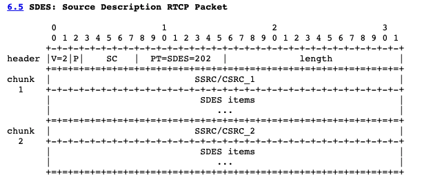 Source Description RTCP Packet