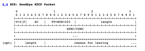 BYE  RTCP Packet