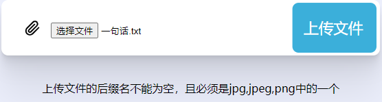这个是有过滤规则得 上传得后缀不能为空,