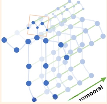 骨架数据时空图Demo