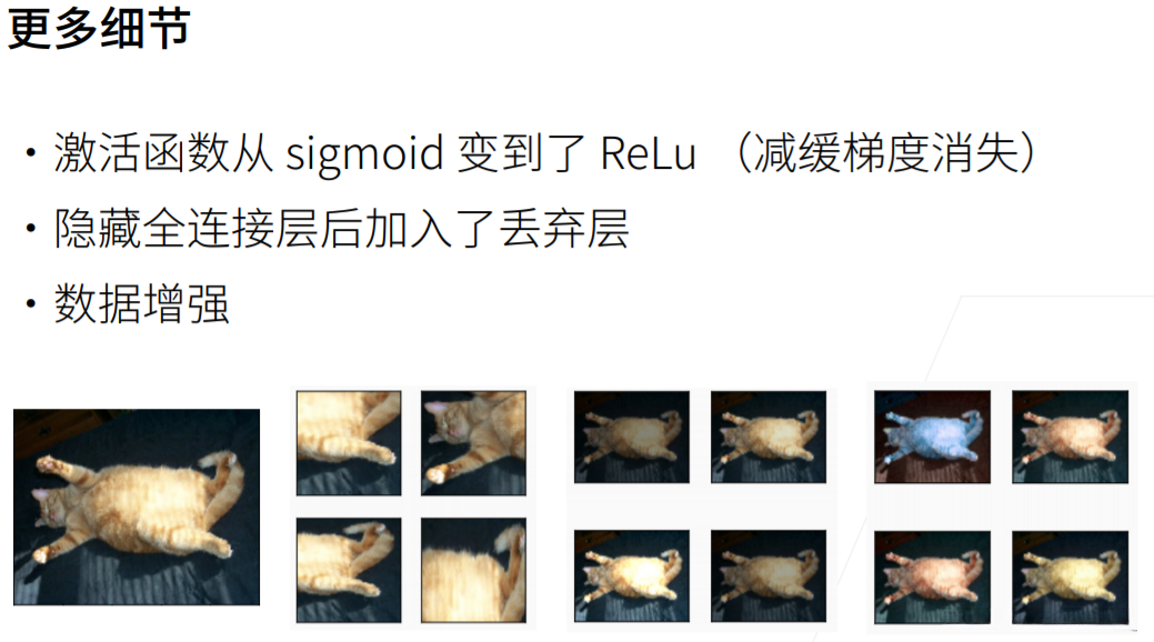 AlexNet的更多细节