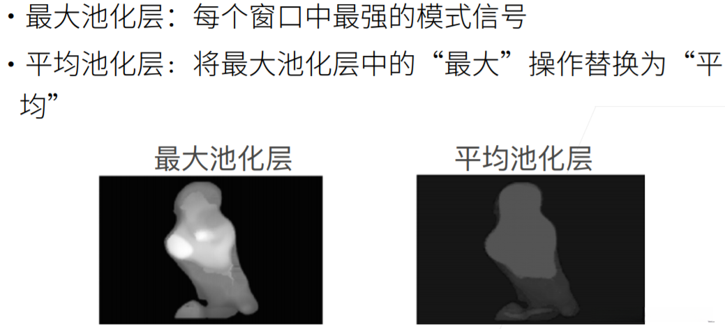 平均池化层