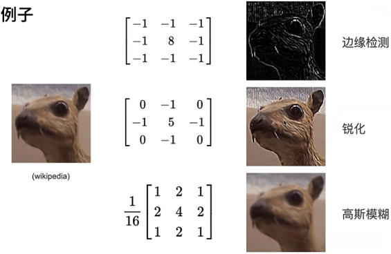 不同的卷积核的举例