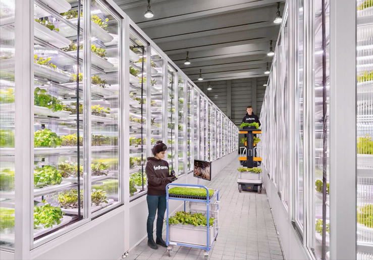 垂直农业在未来的农业种植中发挥着怎样的作用