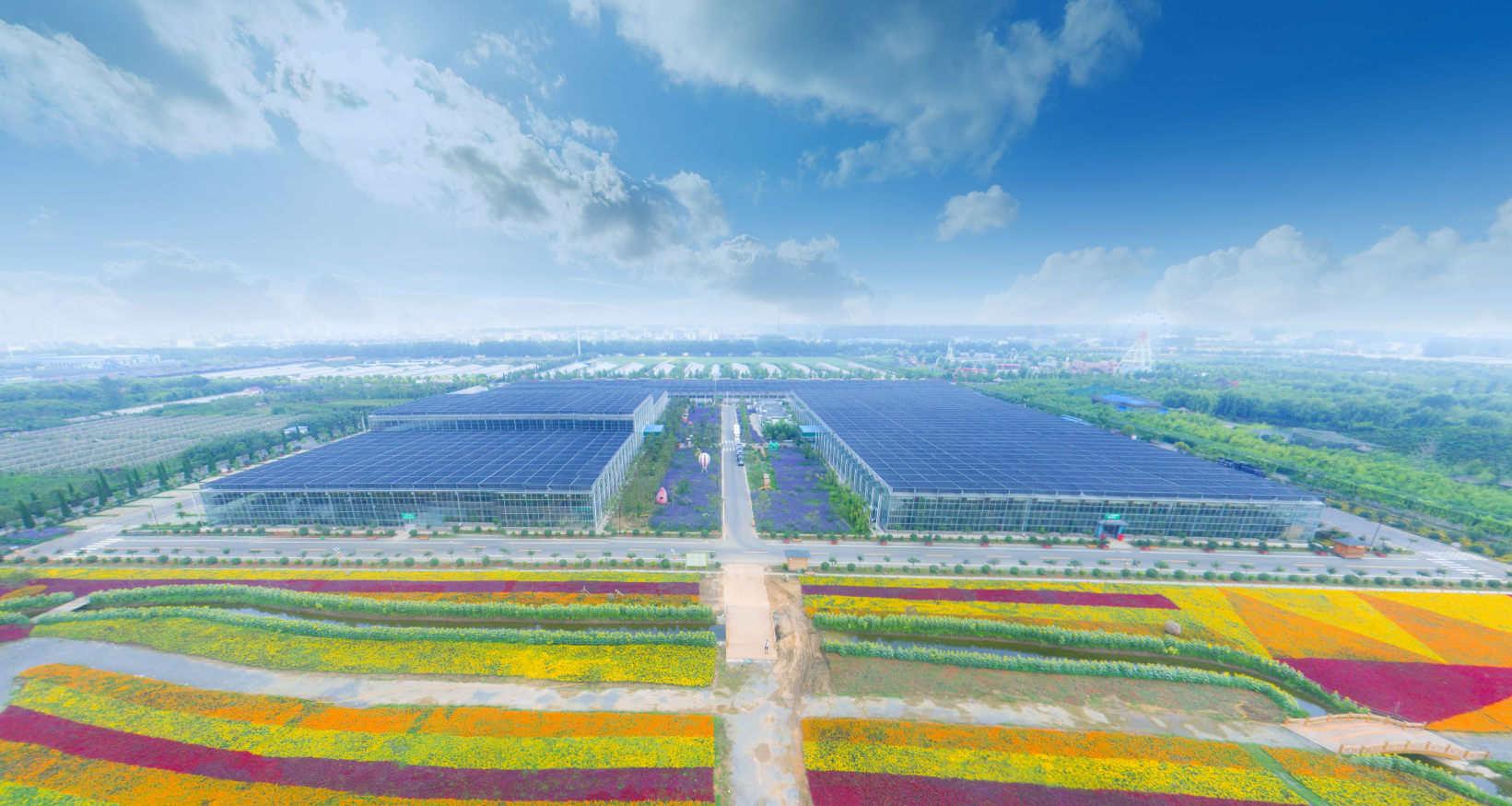 垂直农业在未来的农业种植中发挥着怎样的作用