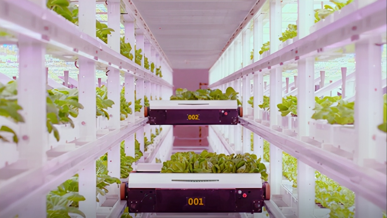 垂直农业在未来的农业种植中发挥着怎样的作用