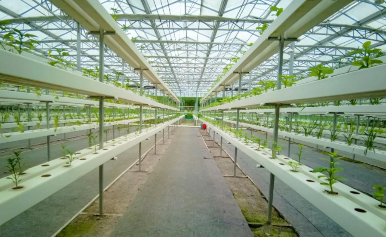 垂直农业在未来的农业种植中发挥着怎样的作用