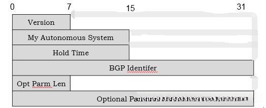 Open报文结构详细信息