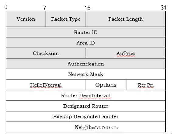 Hello报文结构信息