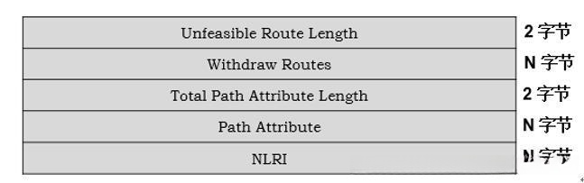 Update报文结构信息