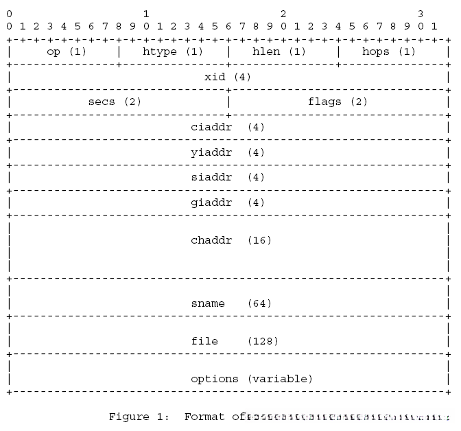 Format of a DHCP message