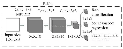 P-Net