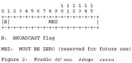 Format of the ’flags’ field