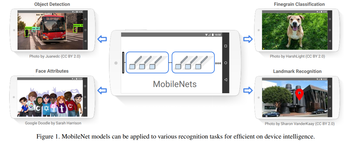 aaaaAAaaaa可爱的小猫咪"