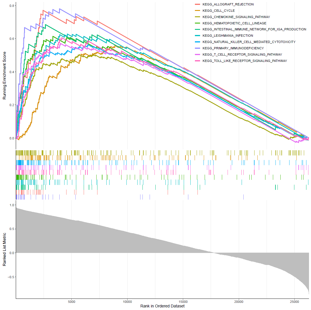 常规GSEA_KEGG富集图
