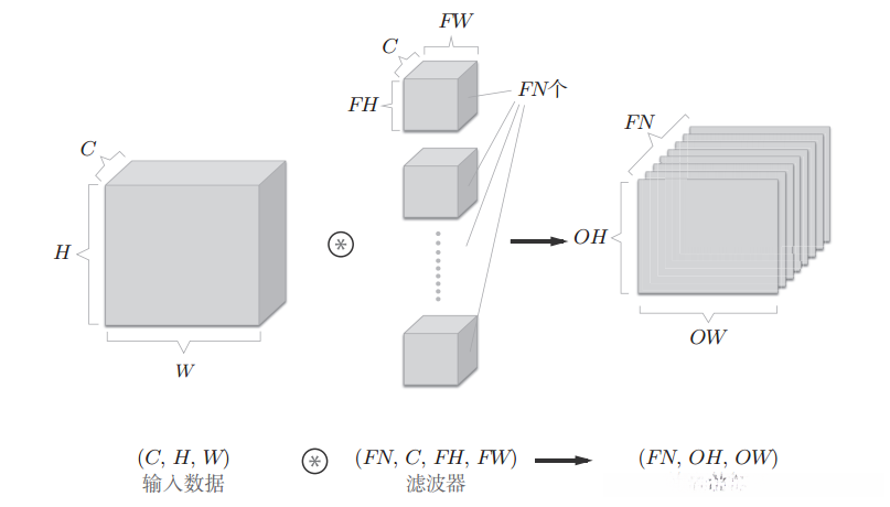 多个滤波器对应对个特征图