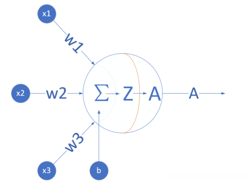 神经网络结构图