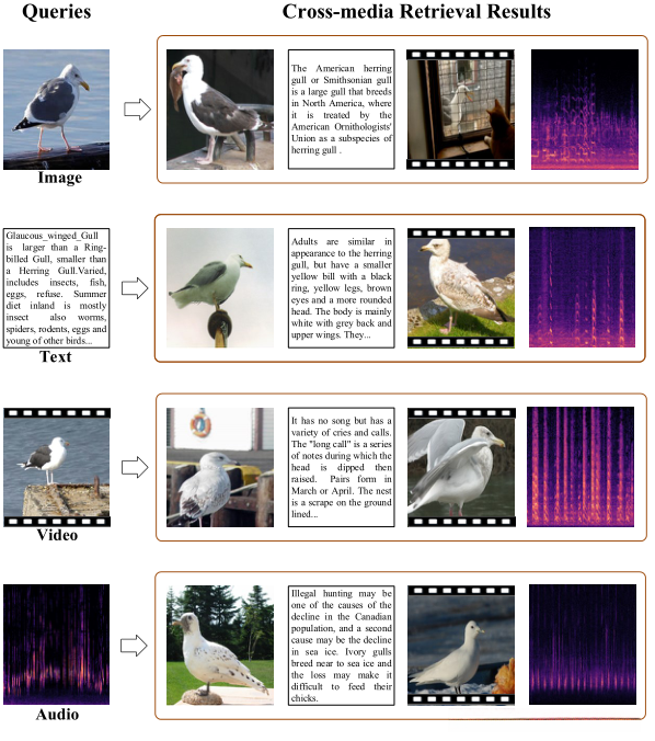 图1:跨媒体检索的例子,其中音频数据是通过声谱图可视化的。