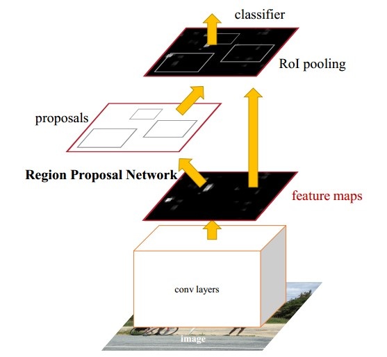 Faster R-CNN.jpg