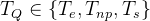 T_{Q} n T_{e}, T_{np}, T_{s}