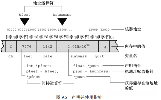 声明并使用指针