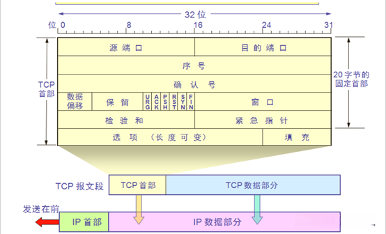 在这里插入图片描述