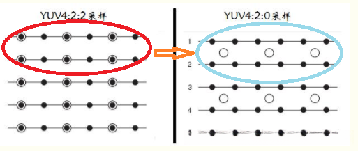 uv 分量隔行抽样