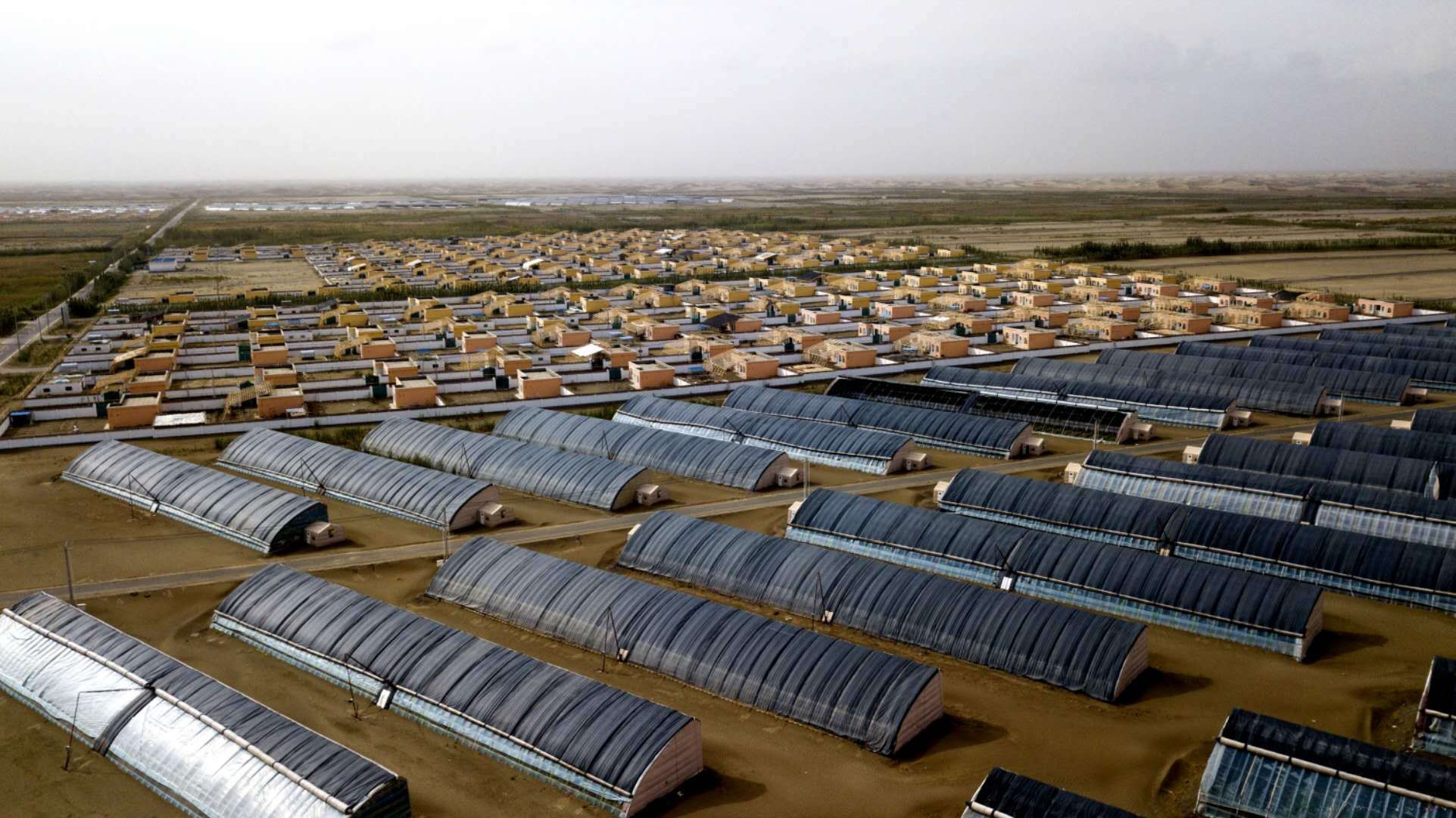 图为北京植得智能互联科技有限公司位于新疆和田沙漠中的温室