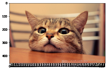 这里写图片描述