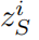 ziS