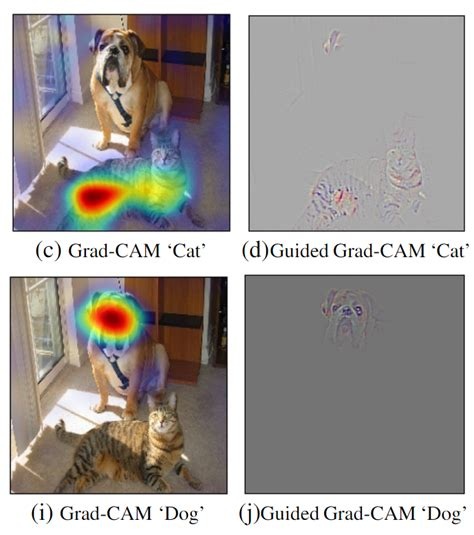 论文笔记:Grad-CAM - 知乎