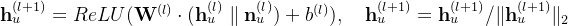 athbf h_{u}^{} = ReLU} dot } arallel athbf n_{u}^{} + b^{} ,uad athbf h_{u}^{} = athbf h_{u}^{} / ert athbf h_{u}^{} ert_2