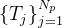  T_j _{j = 1}^{N_p}