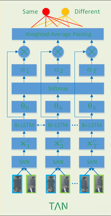 时间注意力网络
