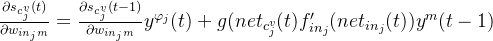 rac{artial s_{c_{j}^{v}}}{artial w_{in_{j}m}}=rac{artial s_{c_{j}^{v}}}{artial w_{in_{j}m}}y^{arphi {j}} + g{f}'{in_{j}}y^{m}