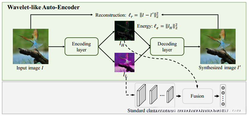 整体网络框架图