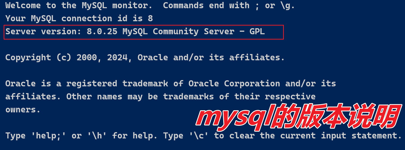 image-20240812170509767