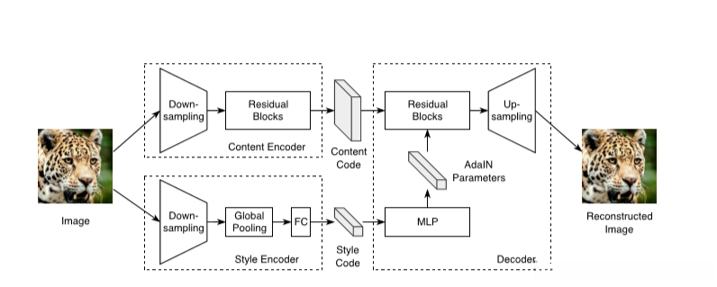MUNIT的发电机架构。 作者针对内容和样式采用了不同的编码器。 样式信息将馈入多层感知器(MLP),该感知器提供用于AdaIN规范化的参数。 此过程将样式信息合并到内容中,以创建新图像。 转载自Huang等。 。