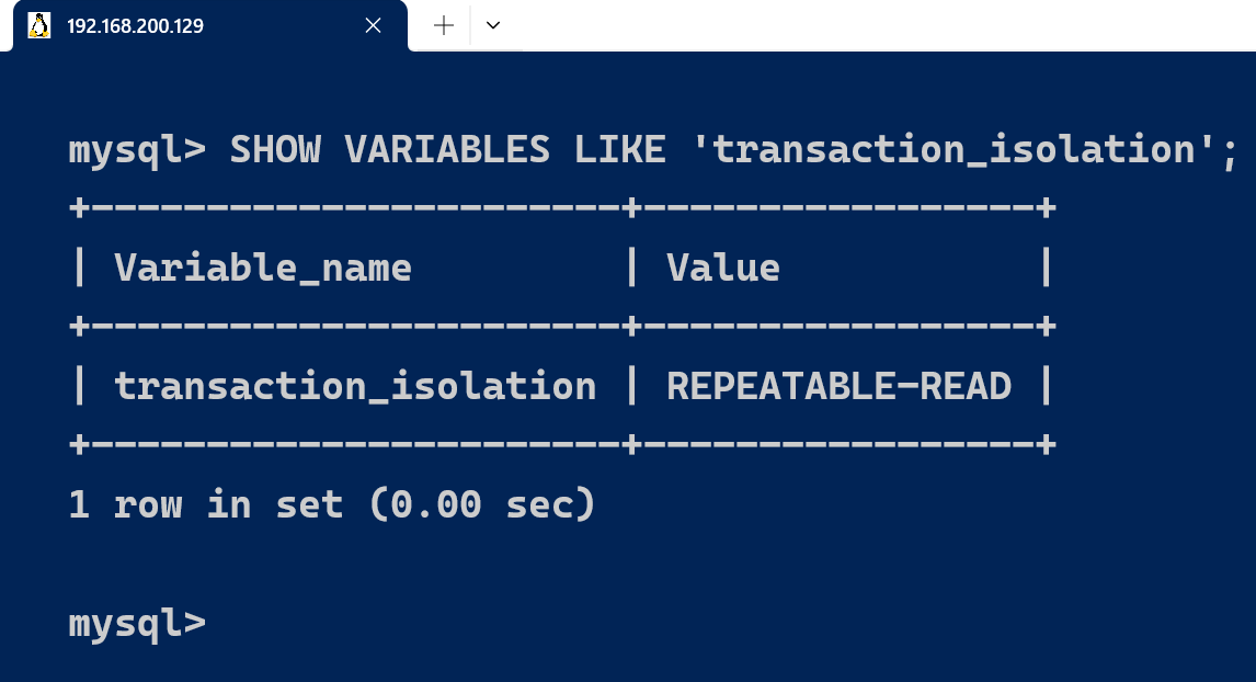 image-20240812205711043