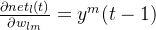 rac{artial net_{l}}{artial w_{lm}}=y^{m}