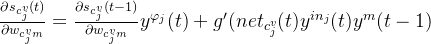 rac{artial s_{c_{j}^{v}}}{artial w_{c_{j}^{v}m}}=rac{artial s_{c_{j}^{v}}}{artial w_{c_{j}{v}m}}y{arphi _{j}} + {g}' y{in_{j}}(t)y{m}