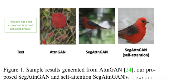 来自AttnGAN,我们提出的SegAttnGAN和自注意SegAttnGAN的样本结果。