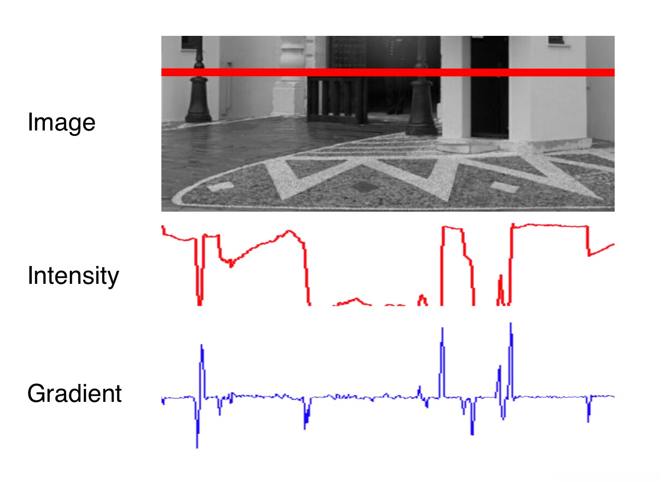 Intensity profile of image pixels along the red line