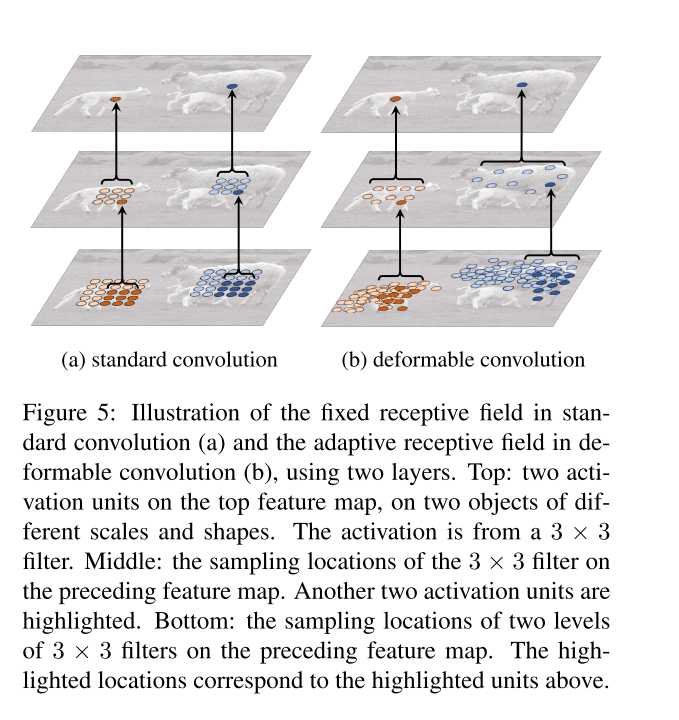 image-20210202023153019