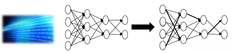 神经网络权重变化示意图